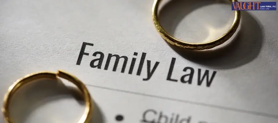 Best Bee Cave Family Lawyer